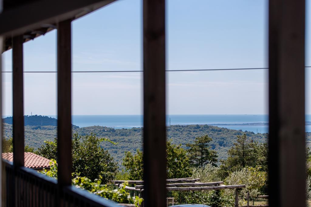 Vila Sistiana Kostanjevica na Krasu Extérieur photo